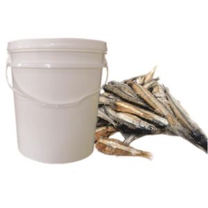 SARDINHA SALGADA BD 10KG