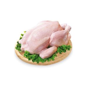 GALINHA CG KAJORY SC30KG